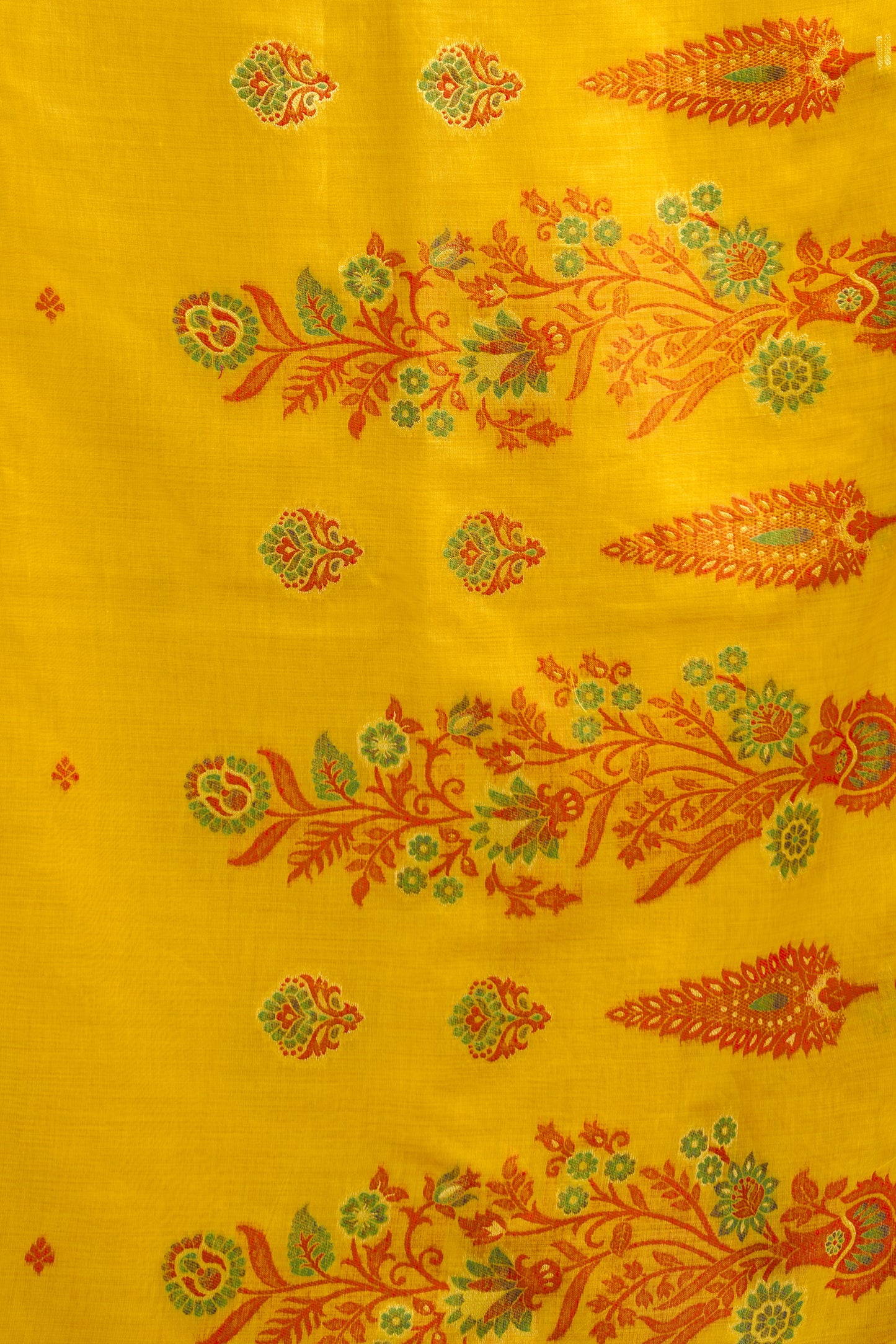 Yellow Woven Cotton Saree-SAR12751_3_SareeButa.com